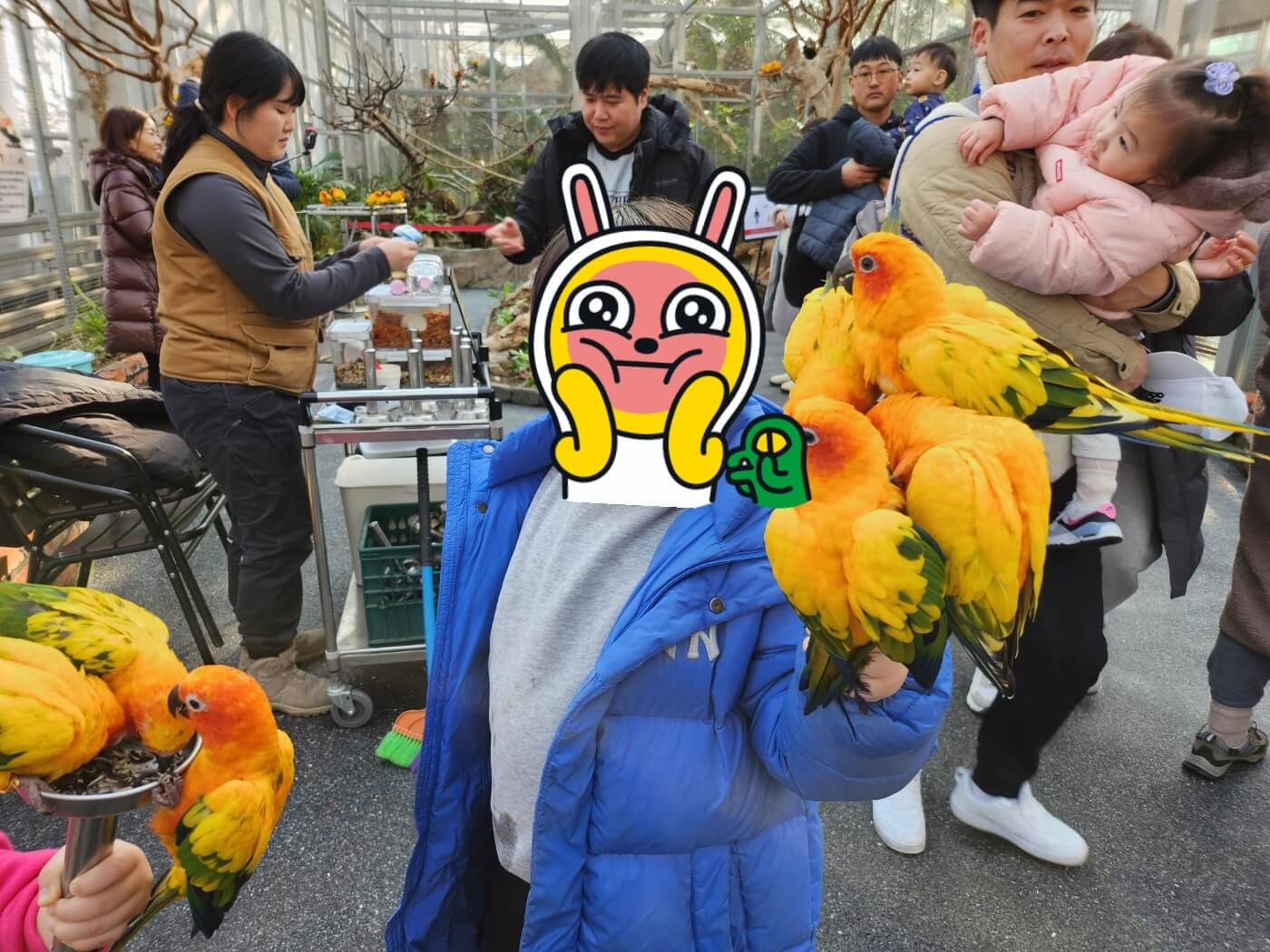 가평 베고니아 정원