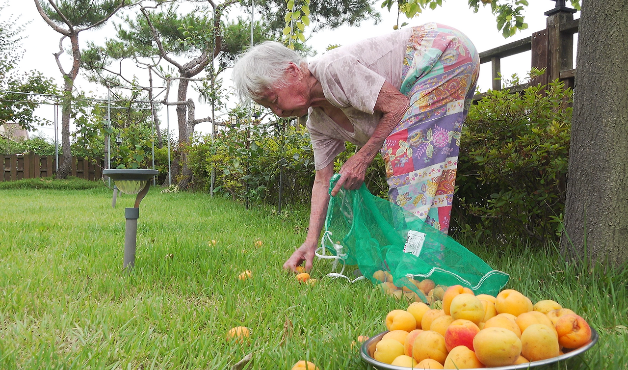 인간극장 ‟아흔아홉, 울엄마는 못 말려&rdquo; 2부 심층 분석