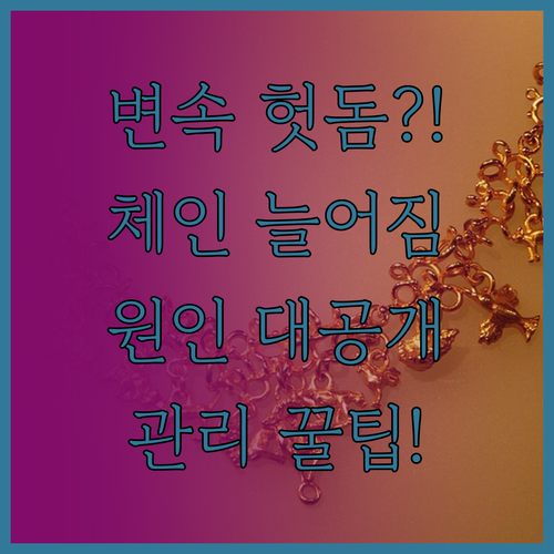 자전거 변속 헛도는 원인과 체인 늘어..