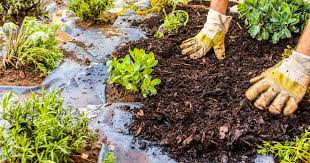 유기 멀칭과 토양 건강