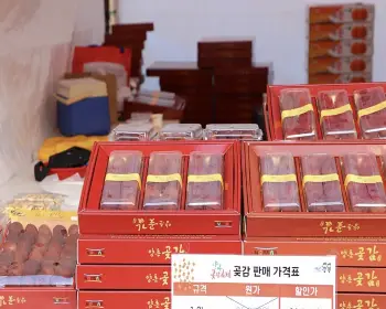 양촌 곶감축제_17