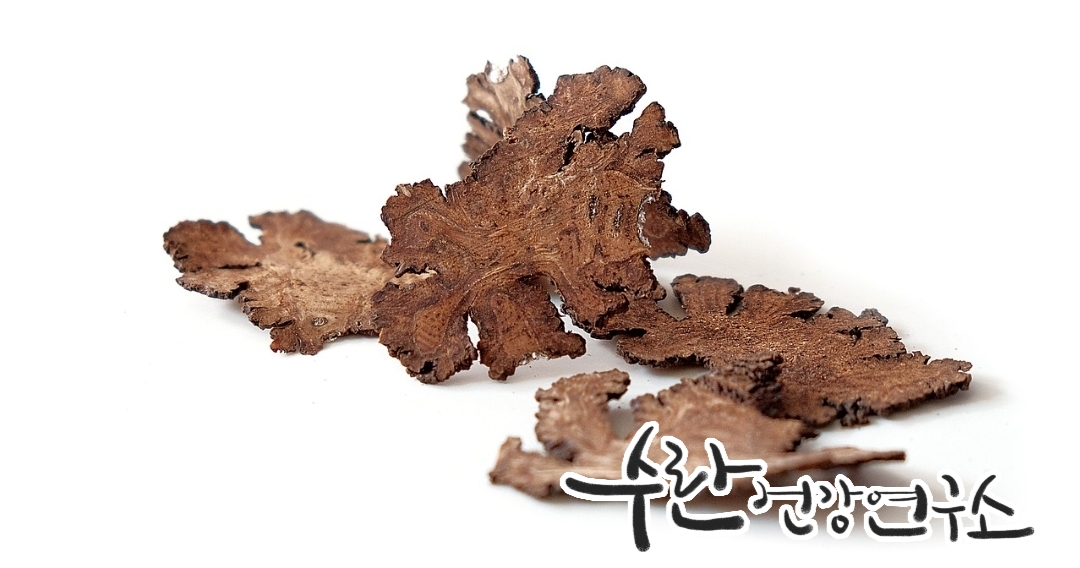 경옥고 효능 가격 광동경옥고