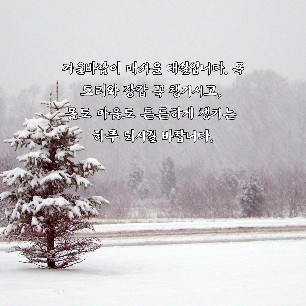 대설 인사말 이미지 12월 인사말 문구 모음