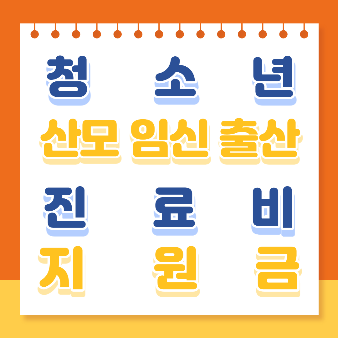 청소년 산모 임신 출산 진료비 지원금