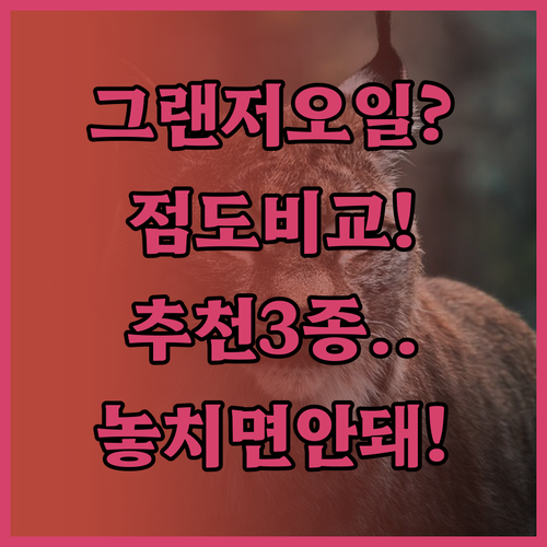 그랜저 엔진오일 점도별 특징과 추천 ..