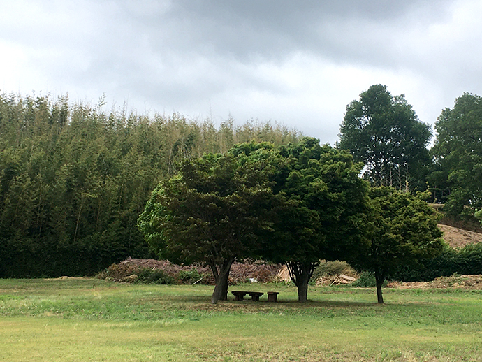 해미읍성_내부7