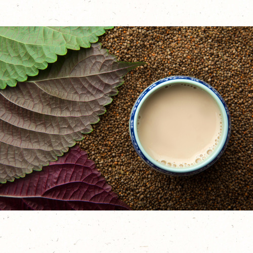 들깨 버섯탕과 현미밥 세트