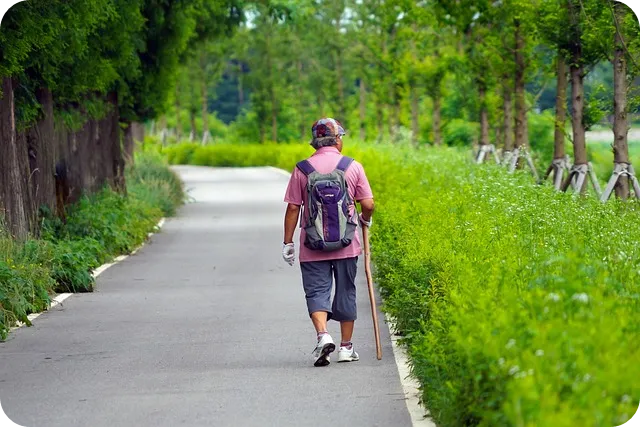 건강생활실천지원금제도