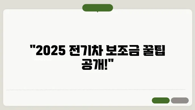 2025 전기차 보조금 정책 과정 정보를 담고 있는 이미지