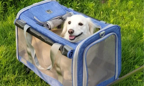 기내 반입 캐리어 사이즈 무게 총정리 완벽 가이드 매뉴얼_5