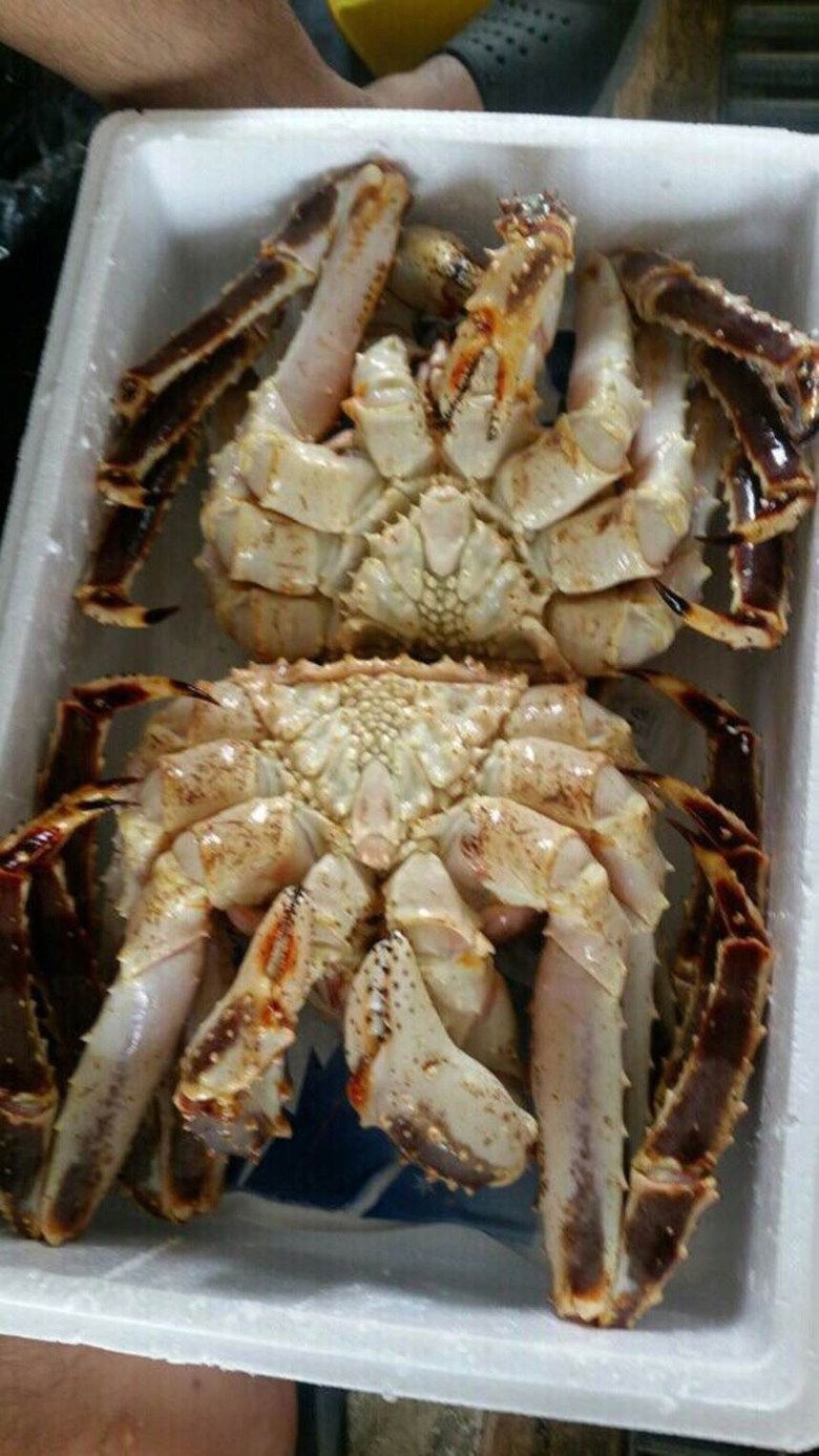 킹크랩 싸게 파는 곳