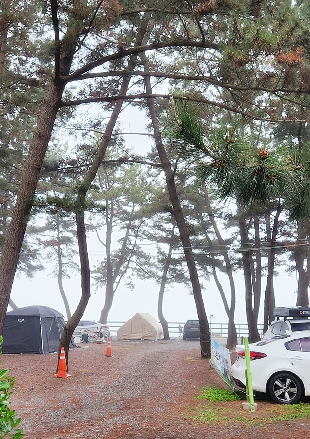 지나가야하는 사설 캠핑장 길