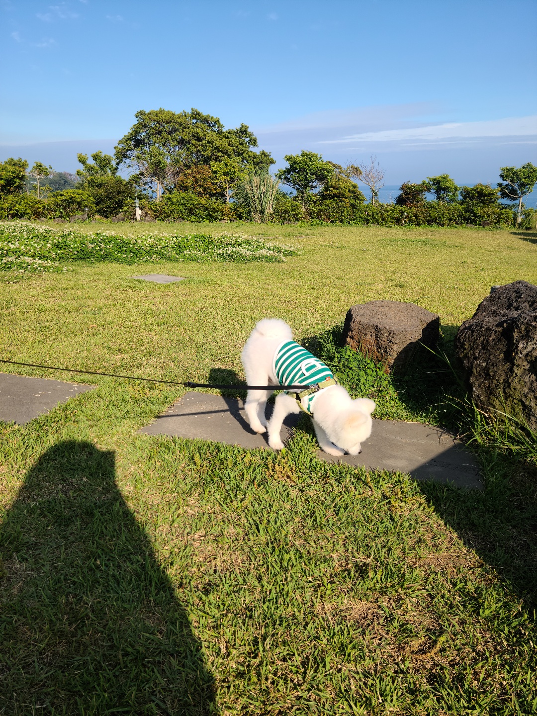 제주도 오션뷰 카페