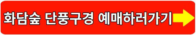 화담숲 단풍구경