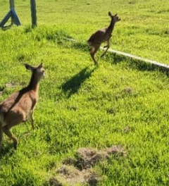 영농조합법인제이러브팜 정보