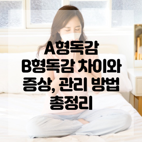 A형독감 B형독감 차이와 증상, 관리 방법 총정리