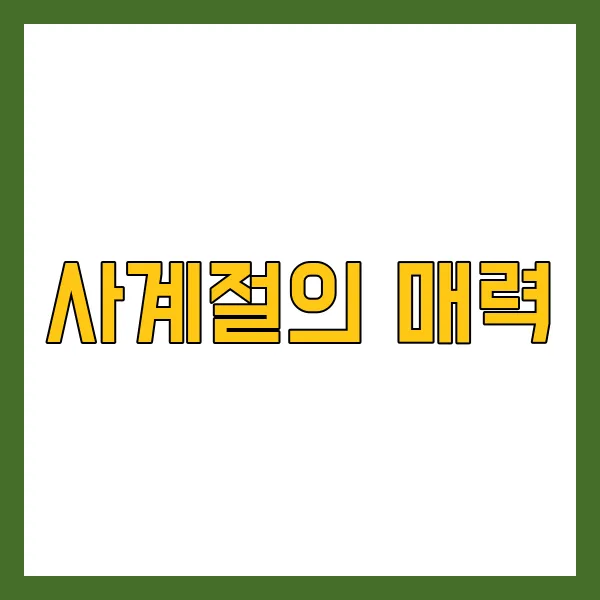사계절의 매력