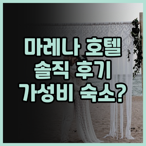 호텔 마레나 파리 솔직 후기! 몽마르..