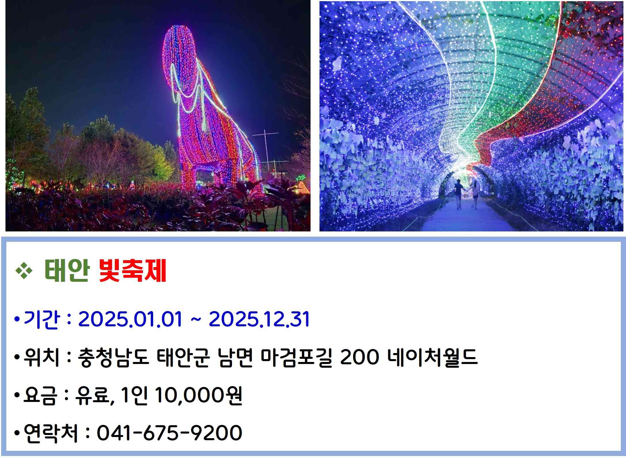 태안 빛축제