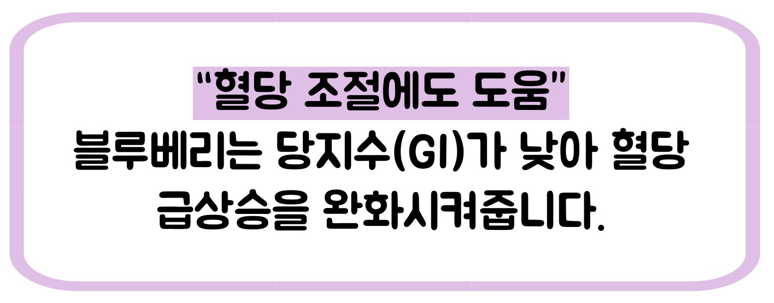 블루베리 효능