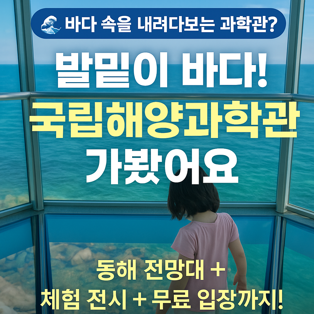 바다 속을 걷는 기분, 국립해양과학관 가봤어요 사진