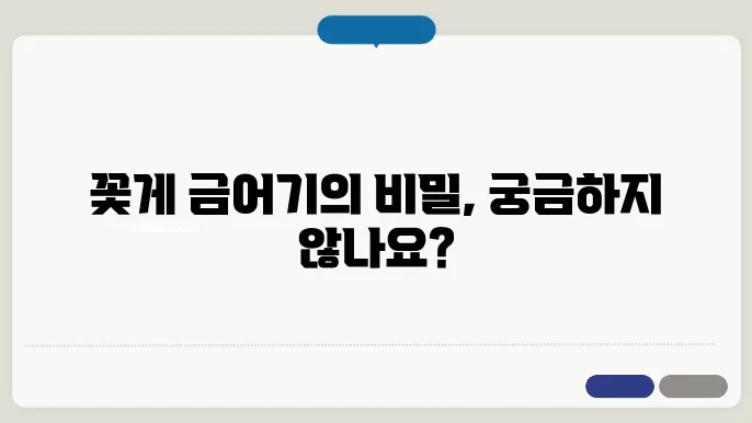 꽃게 금어기