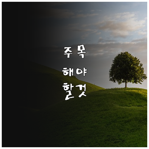 2025 수원시 아이 건강과일 6만원..