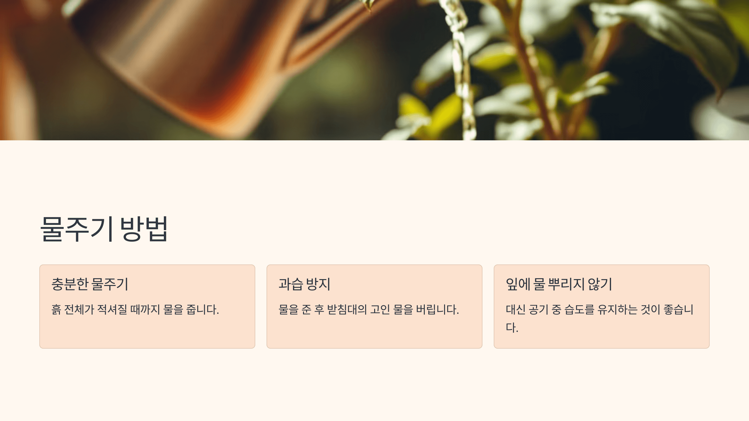 율마와 관련된 사진입니다.