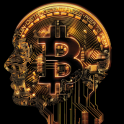 역대 미국 대선 발표 비트코인 영향 2024 예상 반응