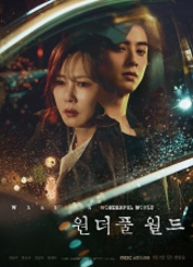 드라마 원더풀월드