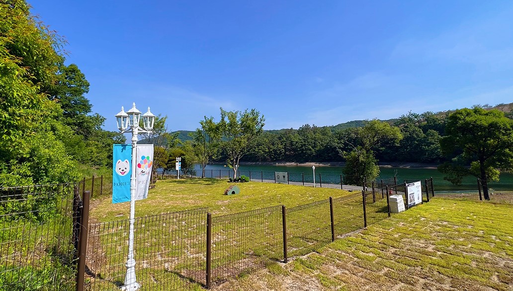 블랙스톤 벨포레 리조트