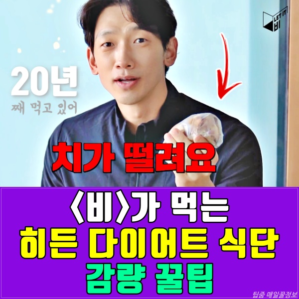 비 다이어트 식단, 다이어트 보조제 g스템마맥스, 팁줌 매일꿀정보