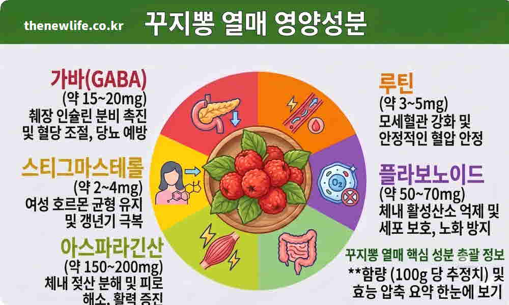 꾸지뽕 열매 영양성분