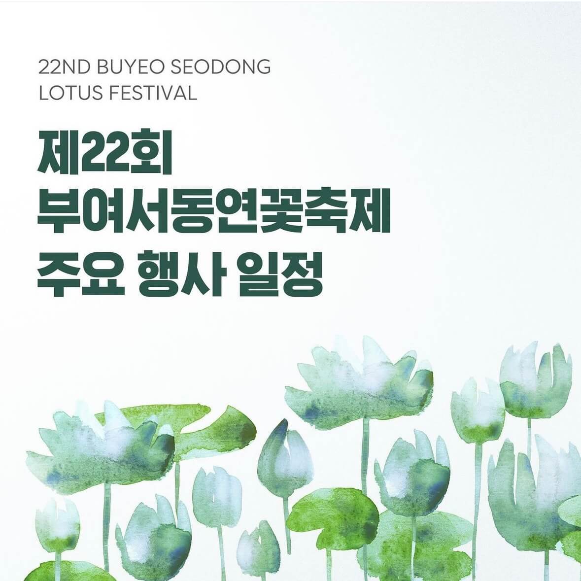 부여 궁남지 연꽃축제