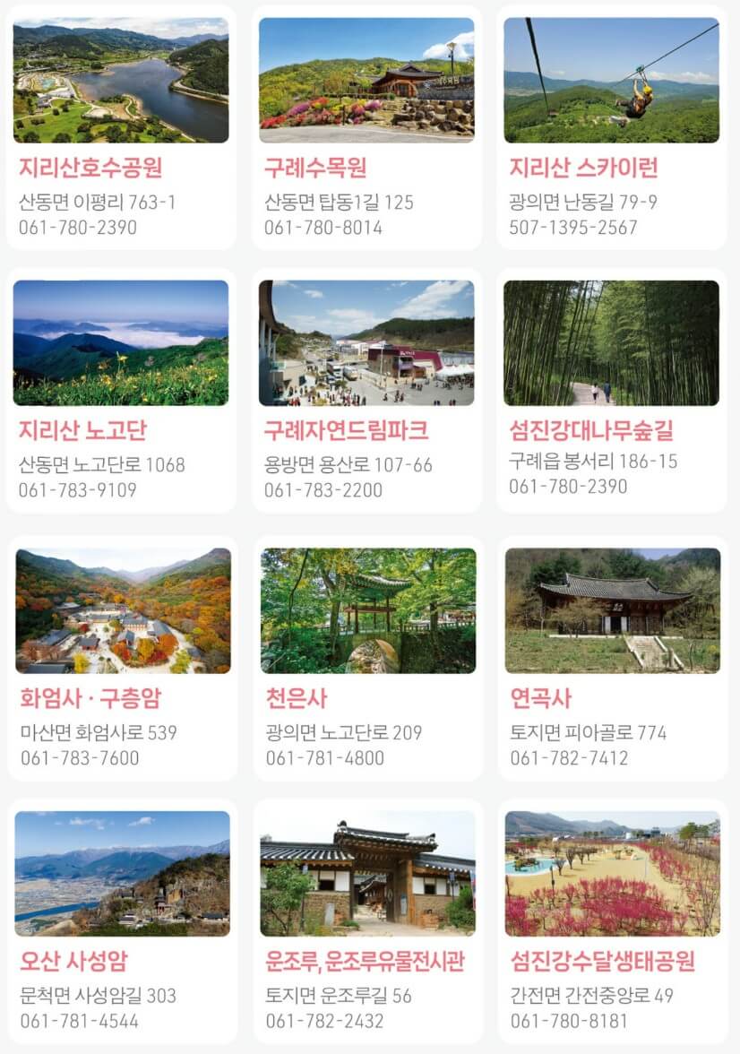 2025 구례 산수유 꽃축제 주변명소