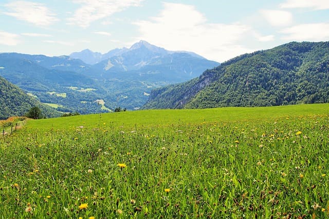 농촌과 도시별 노인복지 지원제도