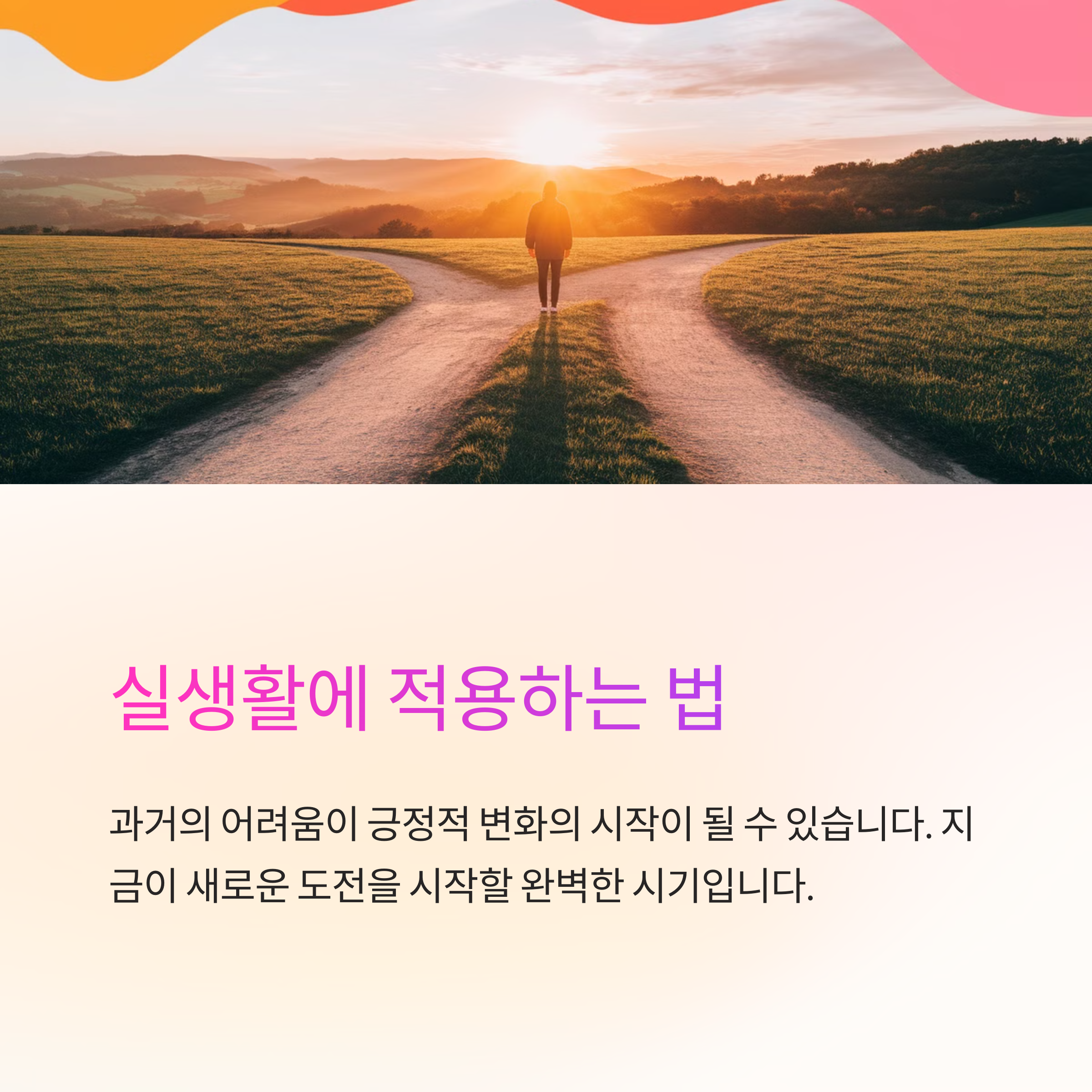 똥이 변신하는 꿈