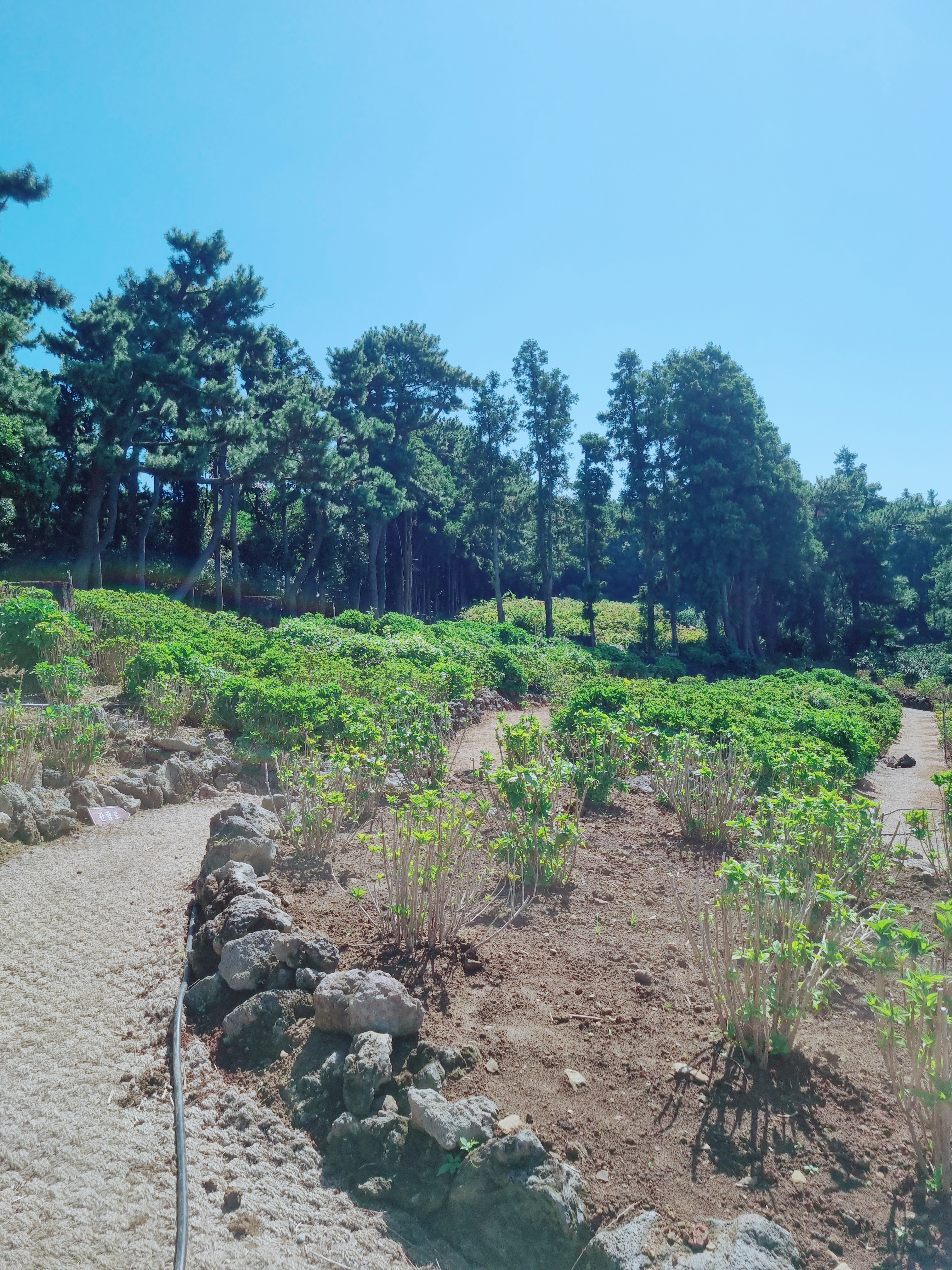 숨도