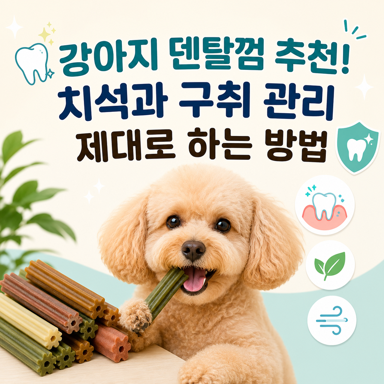 덴탈껌 추천