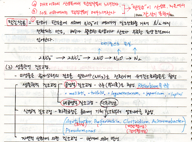 질산화작용, 탈질작용