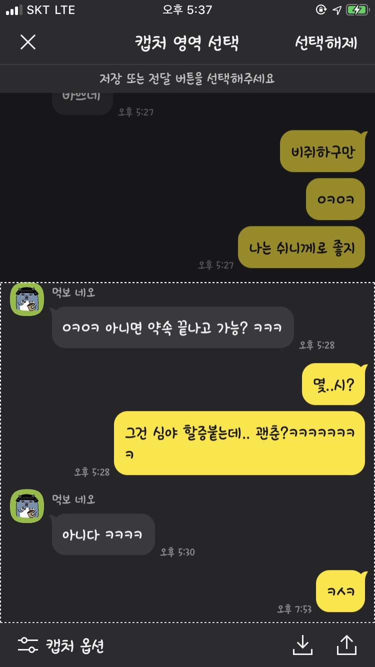 4. 카카오톡 캡처옵션 선택