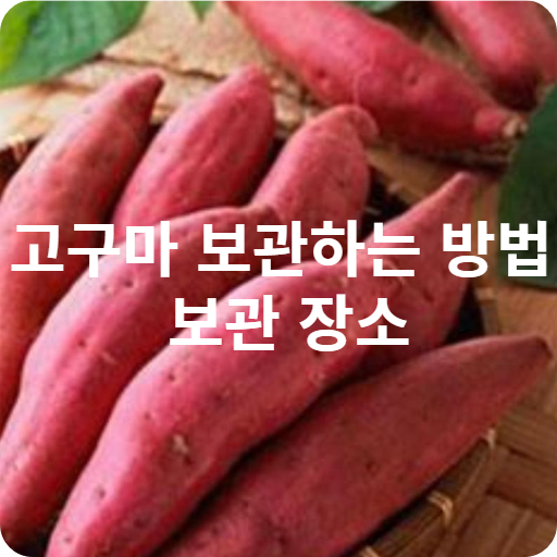 고구마 보관방법과 보관장소