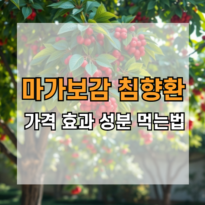 마가보감-침향환-가격-효과-성분-먹는법