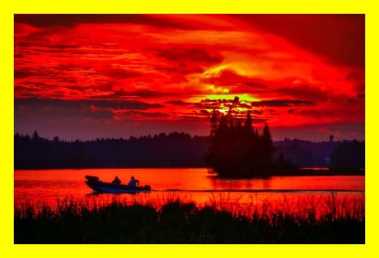 CDP란? 기업 탄소·환경 공시의 글로벌 기준