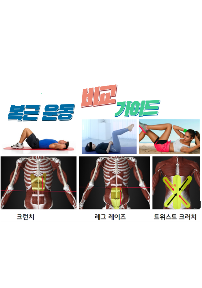 복근 운동 비교 가이드
