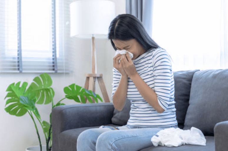 꽃가루 알레르기 치료법