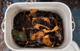 음식물처리기 지원금