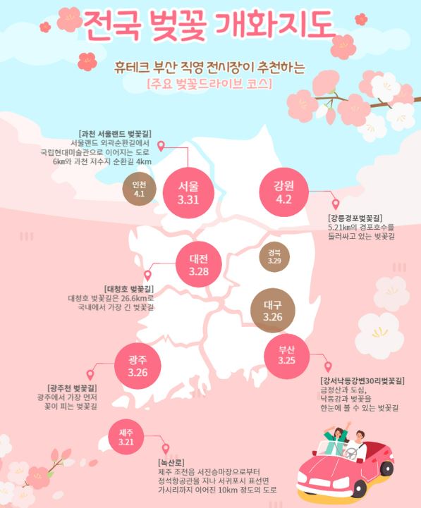 전국 벚꽃 개화시기