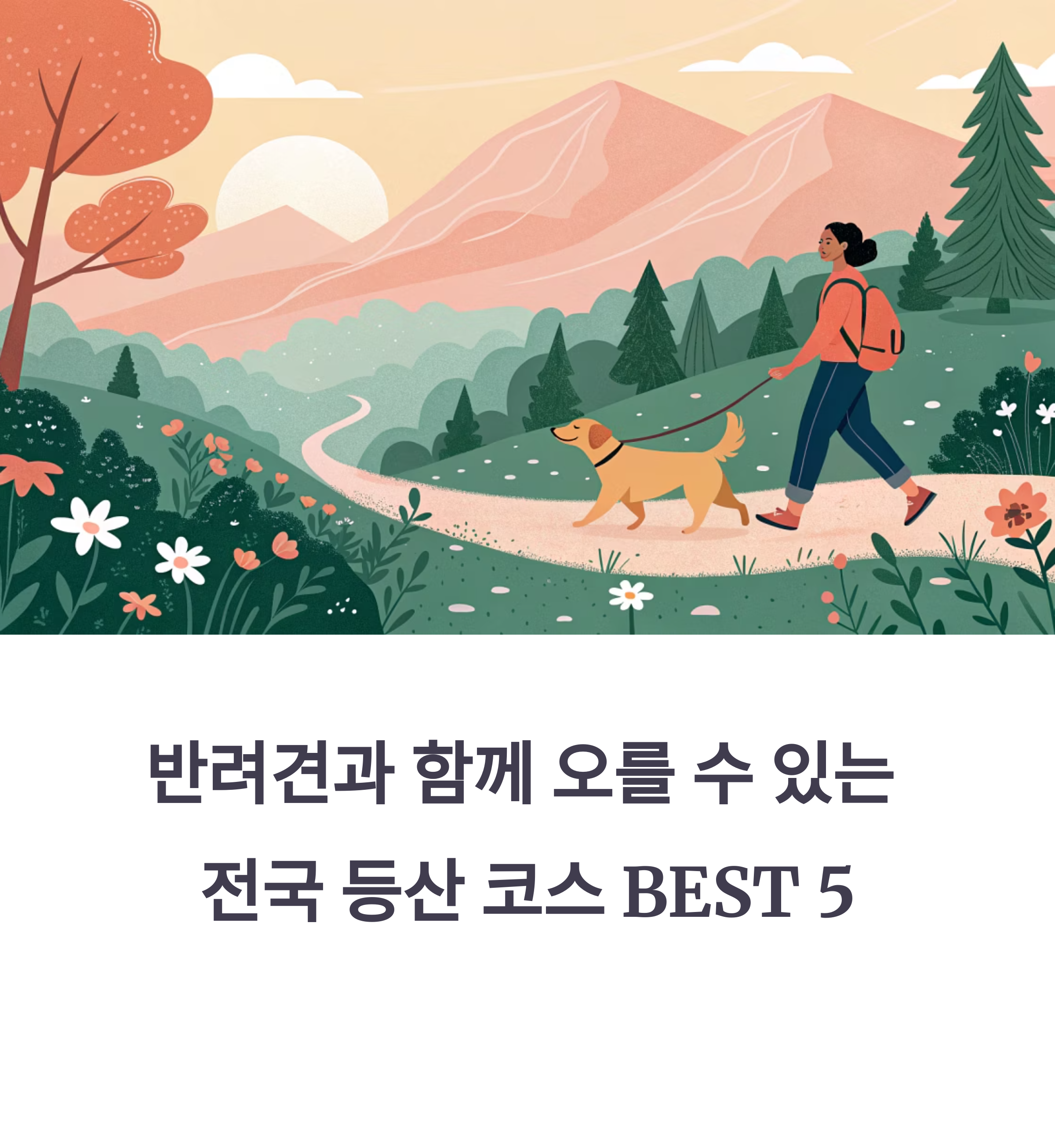 반려견과 함께 오를 수 있는 전국 등산