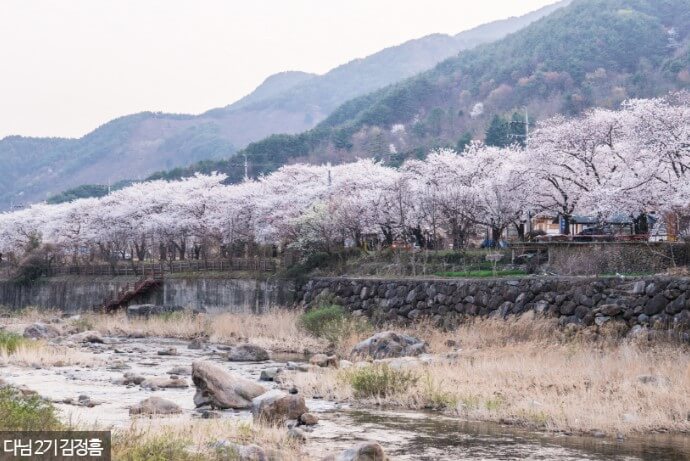 화개장터